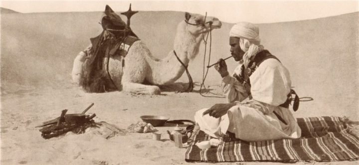 Почему африканские бедуины пьют горячий чай