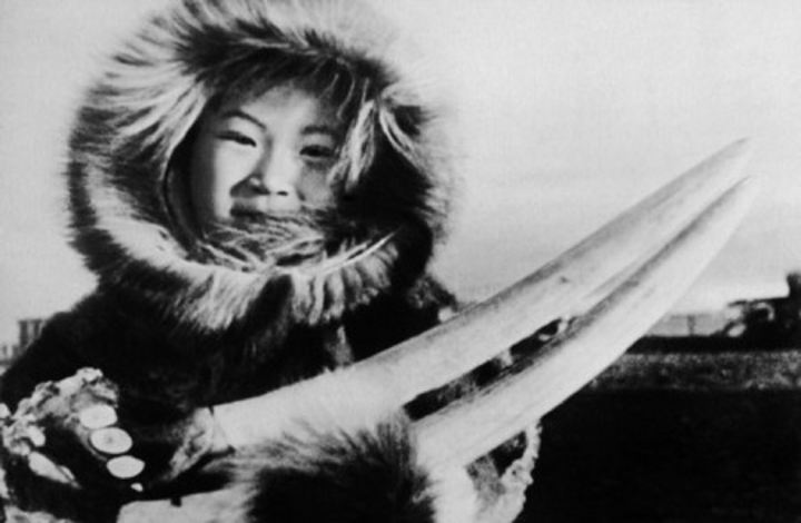 Зачем чукотские эскимосы выкладывали «кучи» из черепов животных