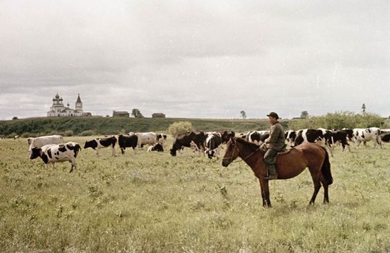 Почему пастухи на Руси считались колдунами