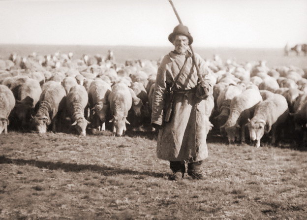 Почему на Руси пастухи считались знахарями