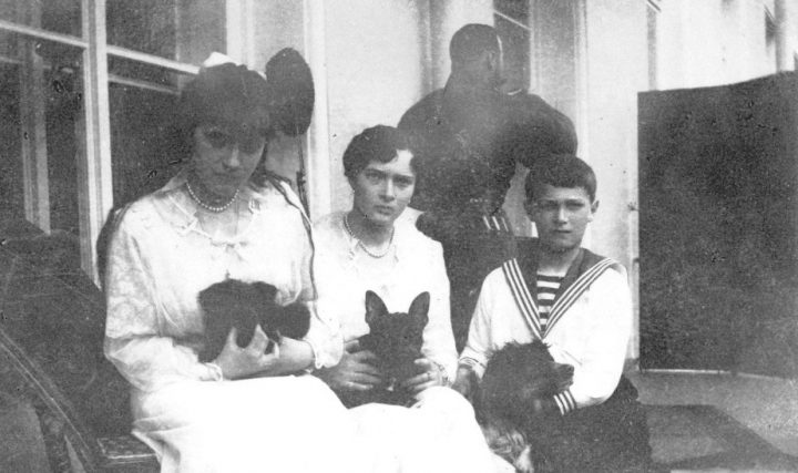 Питомцы семьи Николая II: что большевики сделали с животными