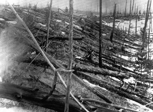 Тунгусская катастрофа: что советские ученые нашли на месте падения небесного тела
