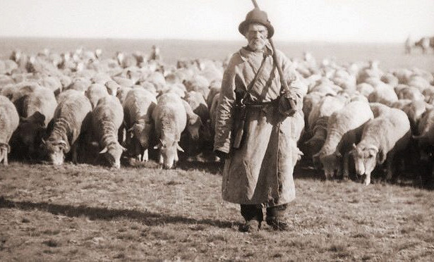 Почему на Руси никогда не считали домашний скот