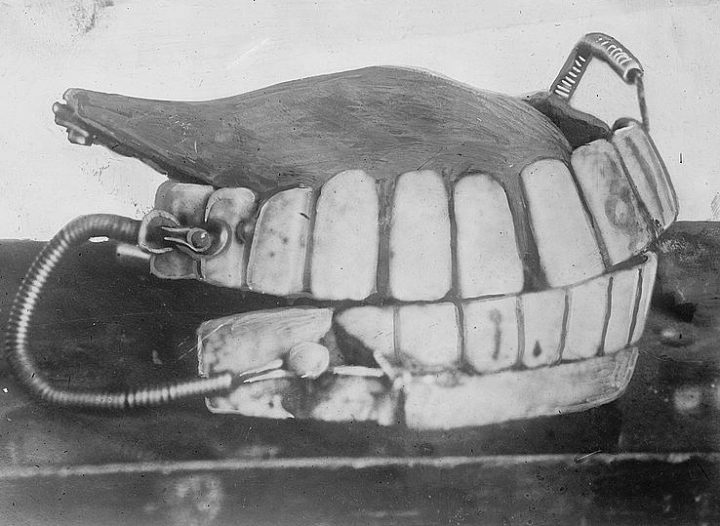 Зубы Ватерлоо: из чего на самом деле изготовляли зубные протезы в XIX веке