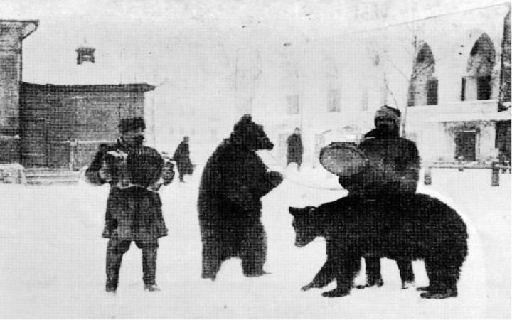 Медвежье мясо: почему оно было главным пищевым табу у русских