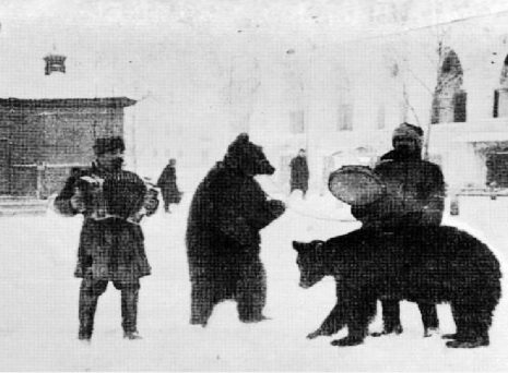 Вождение медведя: почему этой русской забаве на самом деле 40 000 лет