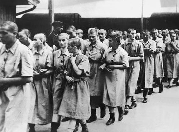 Лагерные «дома терпимости» Третьего Рейха: как там поступали с женщинами