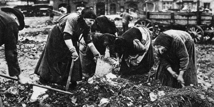 «Брюквенная зима 1916 года»: как отсутствие русского хлеба вызвало голод в Германии