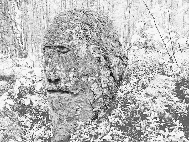 Усть-Тасеевский идол: откуда в Сибири появилось каменное изваяние со «славянским» лицом