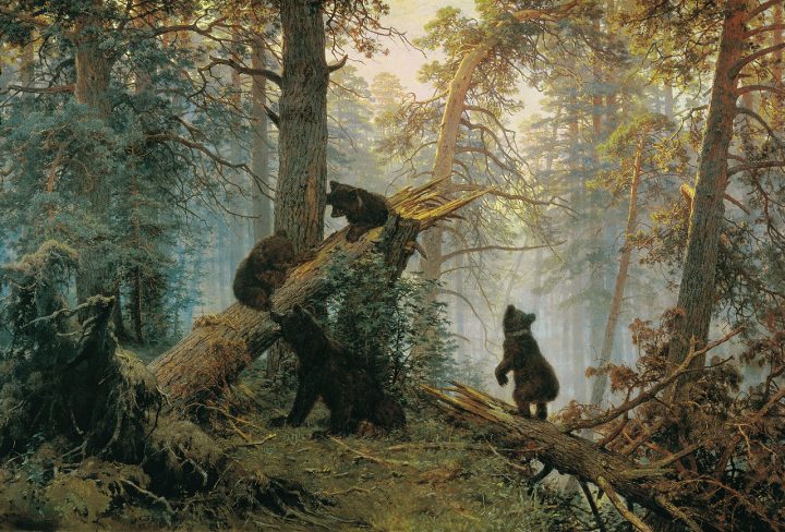 «Утро в сосновом лесу»: что не так с медведями на картине Шишкина