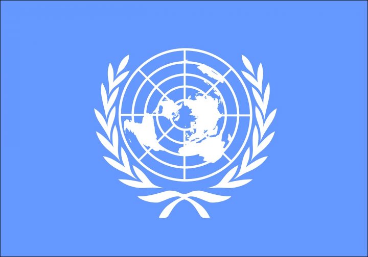 Эмблема ООН: что с ней не так на самом деле