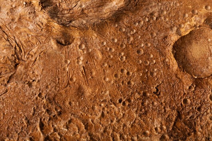 В древнем адыгейском могильнике нашли уникальный артефакт
