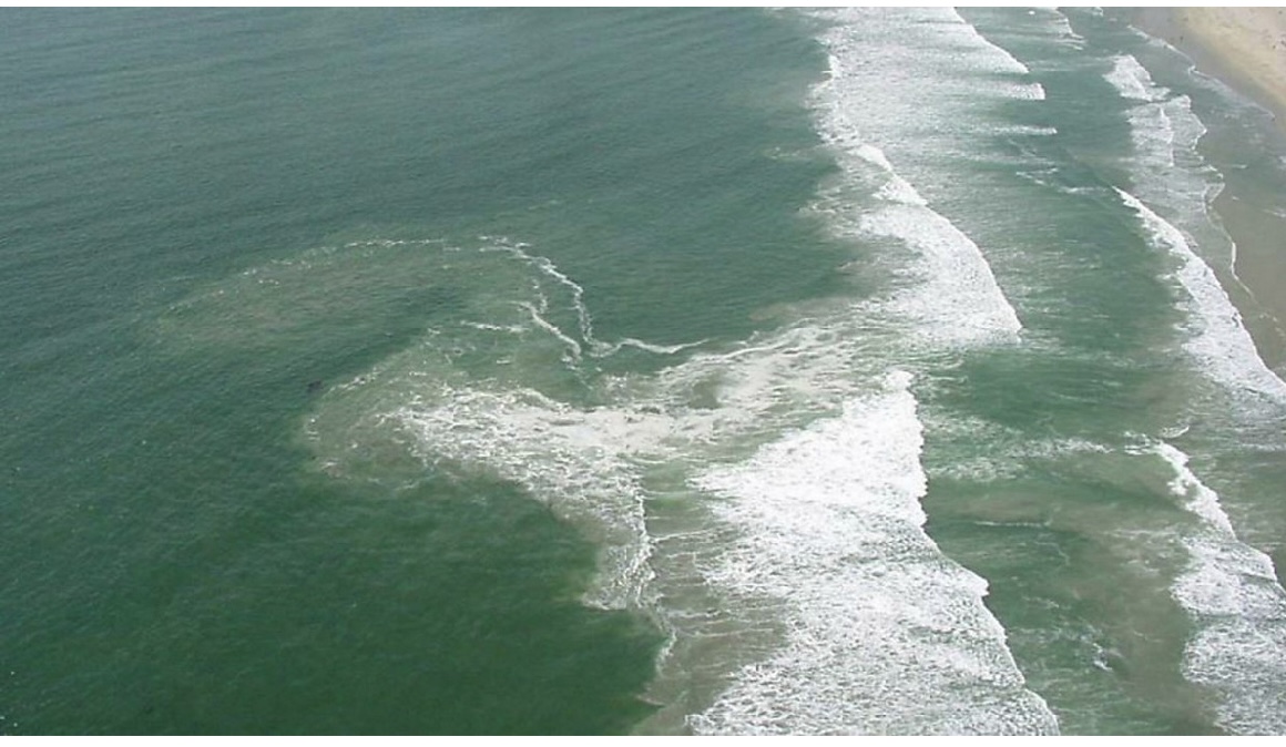 Мощи Ярослава Мудрого: как они могли оказаться у американцев