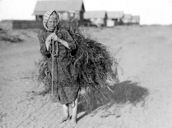 Почему нельзя выносить мусор вечером