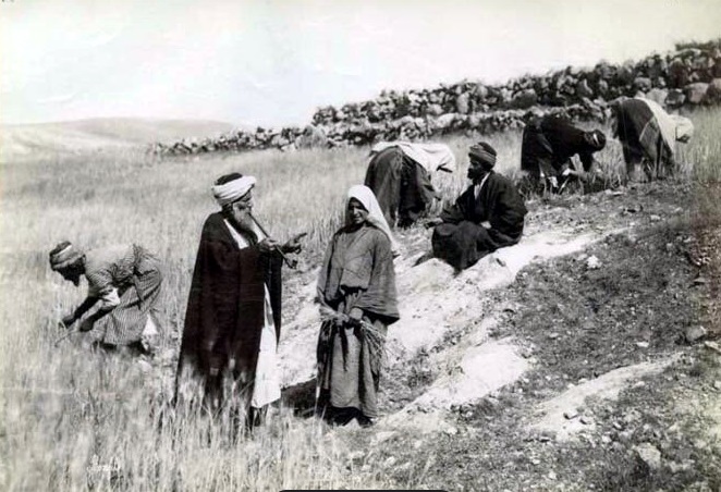 Почему в исламе принято хоронить умерших в день смерти