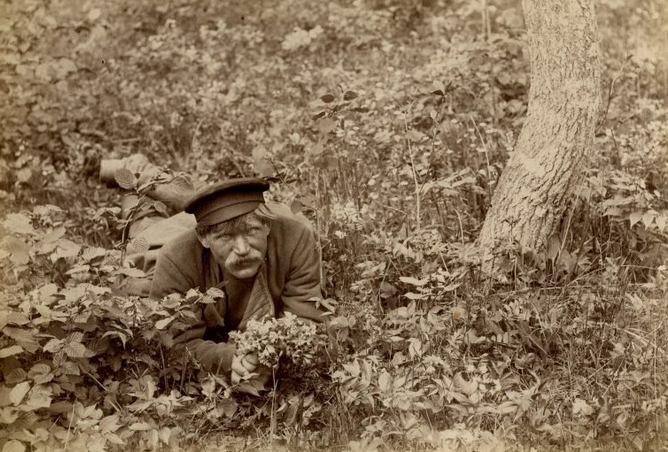 Кологривский леший: как одичалый алиментщик дал бой костромскому ОМОНу