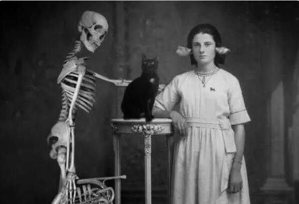 Токсоплазма: как кошачий паразит превращает человека в «зомби»