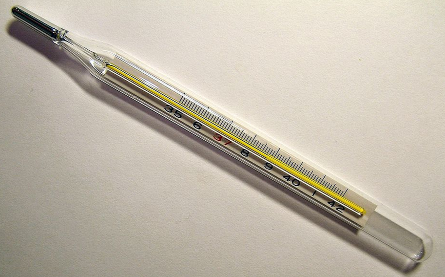 Мощи Ярослава Мудрого: как они могли оказаться у американцев