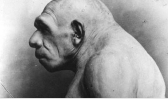 Мощи Ярослава Мудрого: как они могли оказаться у американцев