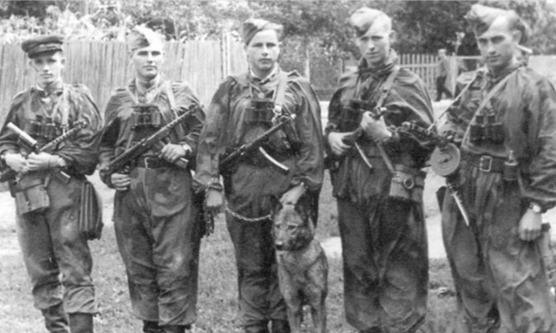 «Волкодавы Сталина»: какие уникальные способности были у сотрудников СМЕРШа
