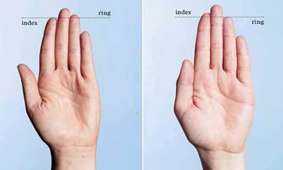 Что не так с мужчинами, у которых указательный палец короче безымянного