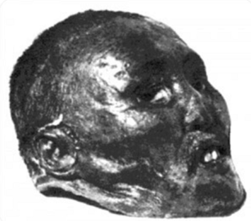 «Голова монгола» в Кунсткамере: самый мистический экспонат