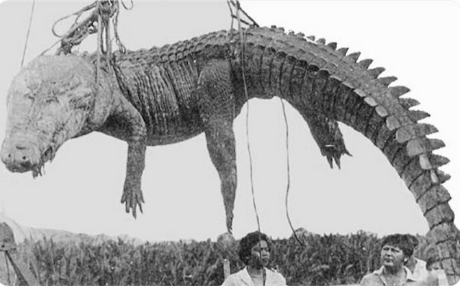 «Какофония ада»: чем в 1945 году закончилось битва японских солдат с крокодилами