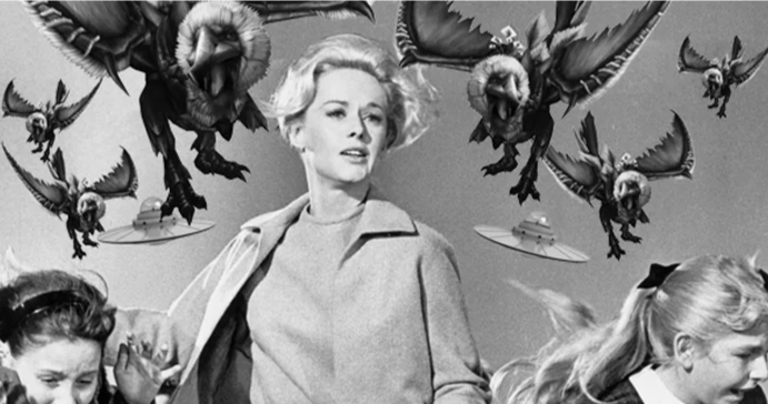 Самые мстительные птицы: что вы не знали о воронах