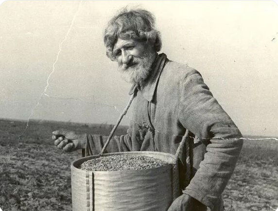 Мощи Ярослава Мудрого: как они могли оказаться у американцев