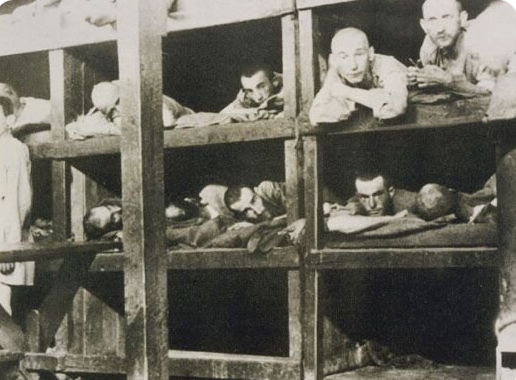 Мощи Ярослава Мудрого: как они могли оказаться у американцев